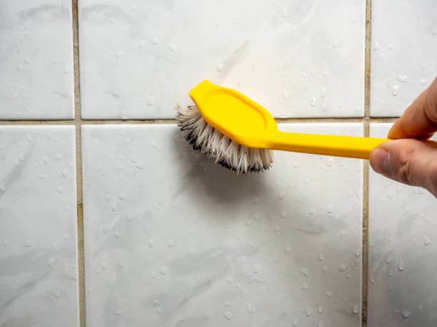 Best Office Mold Removal Services  in Clarks Summit, PA