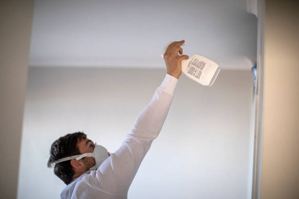 Best Home Mold Removal  in Clarks Summit, PA
